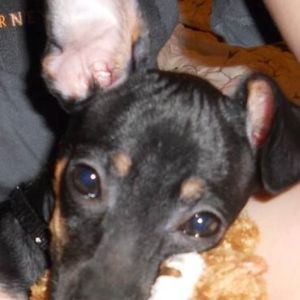 Meet your Posher, Jan